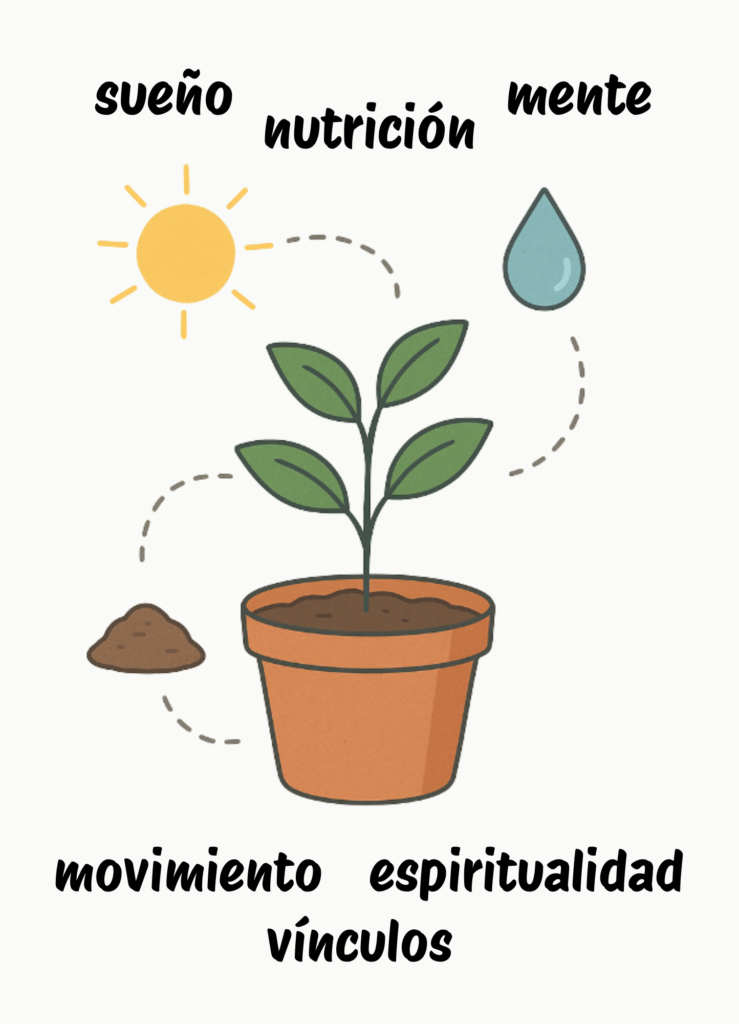 servicios de terapias